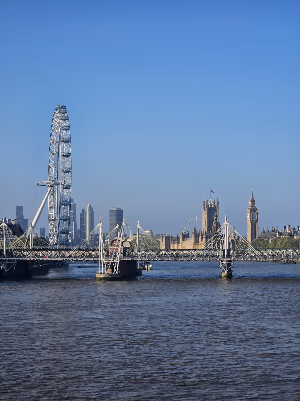 KJP Paediatric Respiratory Conference - View of the London Eye